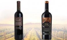 九游体育官方登录入口-法国备战摩尔多瓦，豪取必胜