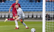 九游体育app-瑞典客场战胜格鲁吉亚，国家队再添胜绩的简单介绍