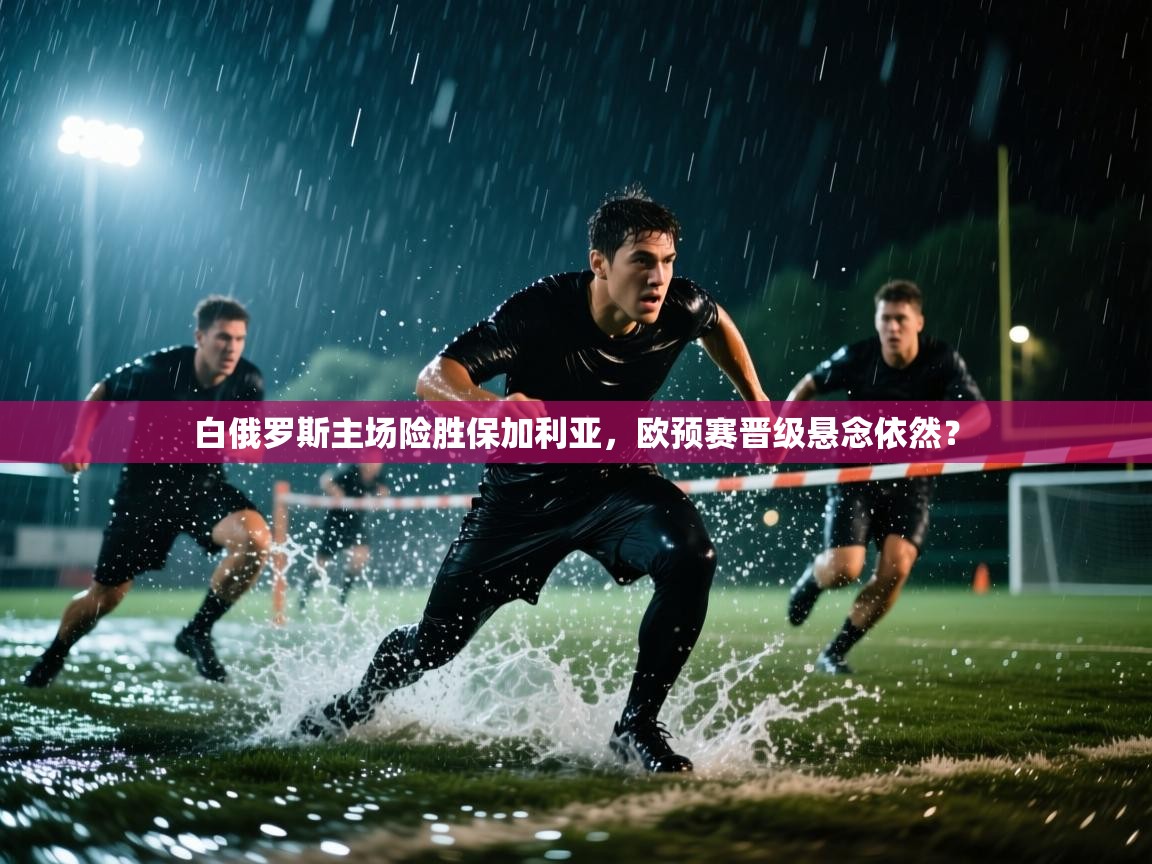 白俄罗斯主场险胜保加利亚，欧预赛晋级悬念依然？  第1张