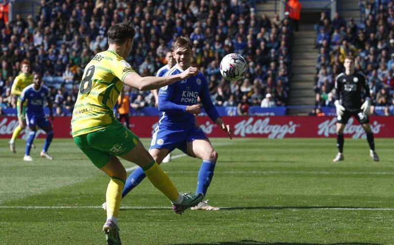 谢菲联主场不敌赫尔城，实现取胜表现的简单介绍