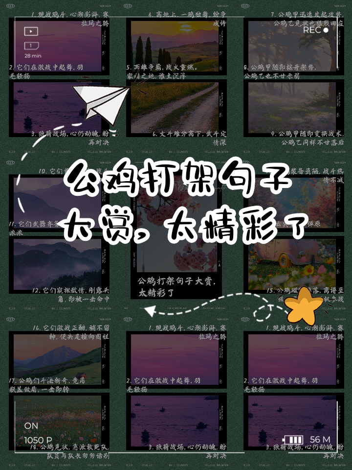 战场纷争,赛事精彩连连胜负难言的简单介绍 战场纷争,赛事精彩连连胜负难言的简单介绍