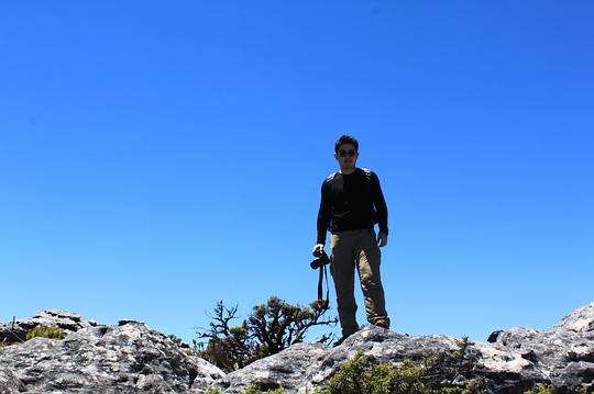 包含南非男子游泳表现抢眼，一路领先的词条