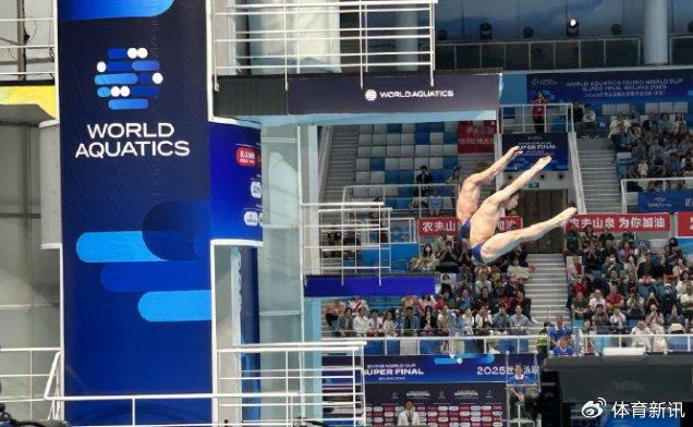 白俄罗斯跳水选手优雅身姿，夺取金牌的简单介绍